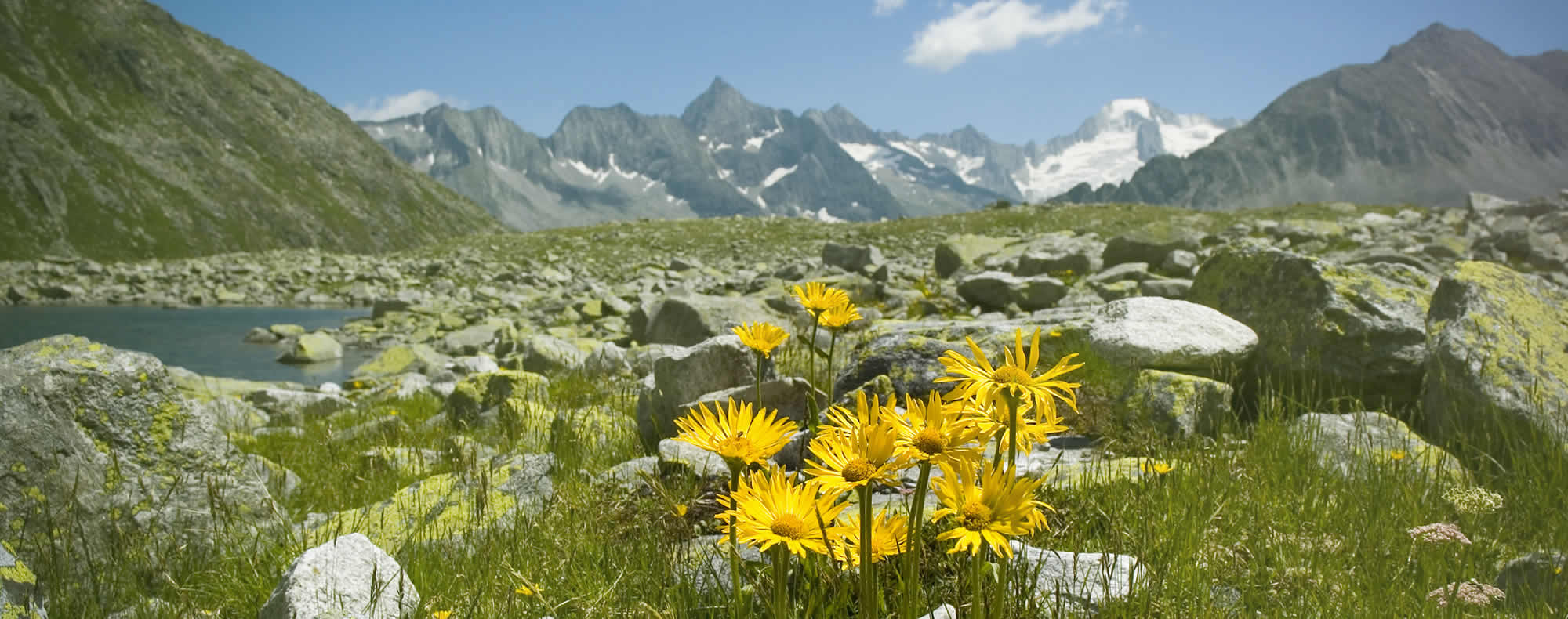 Austriacki krajobraz alpejski